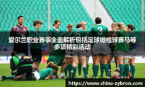 爱尔兰职业赛事全面解析包括足球橄榄球赛马等多项精彩活动