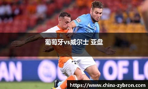 葡萄牙vs威尔士 亚盘