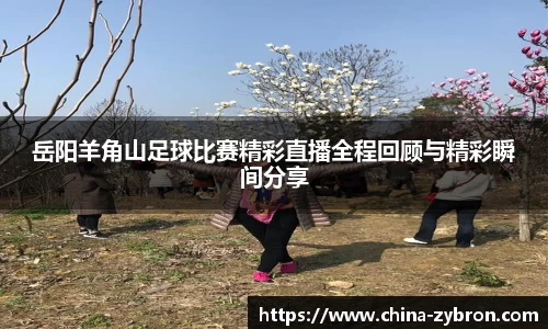 岳阳羊角山足球比赛精彩直播全程回顾与精彩瞬间分享