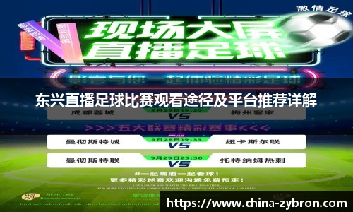东兴直播足球比赛观看途径及平台推荐详解
