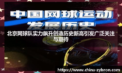 im电竞平台官网
