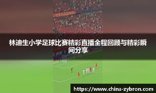 im电竞官网