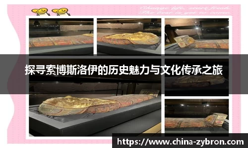 im电竞·电子竞技平台